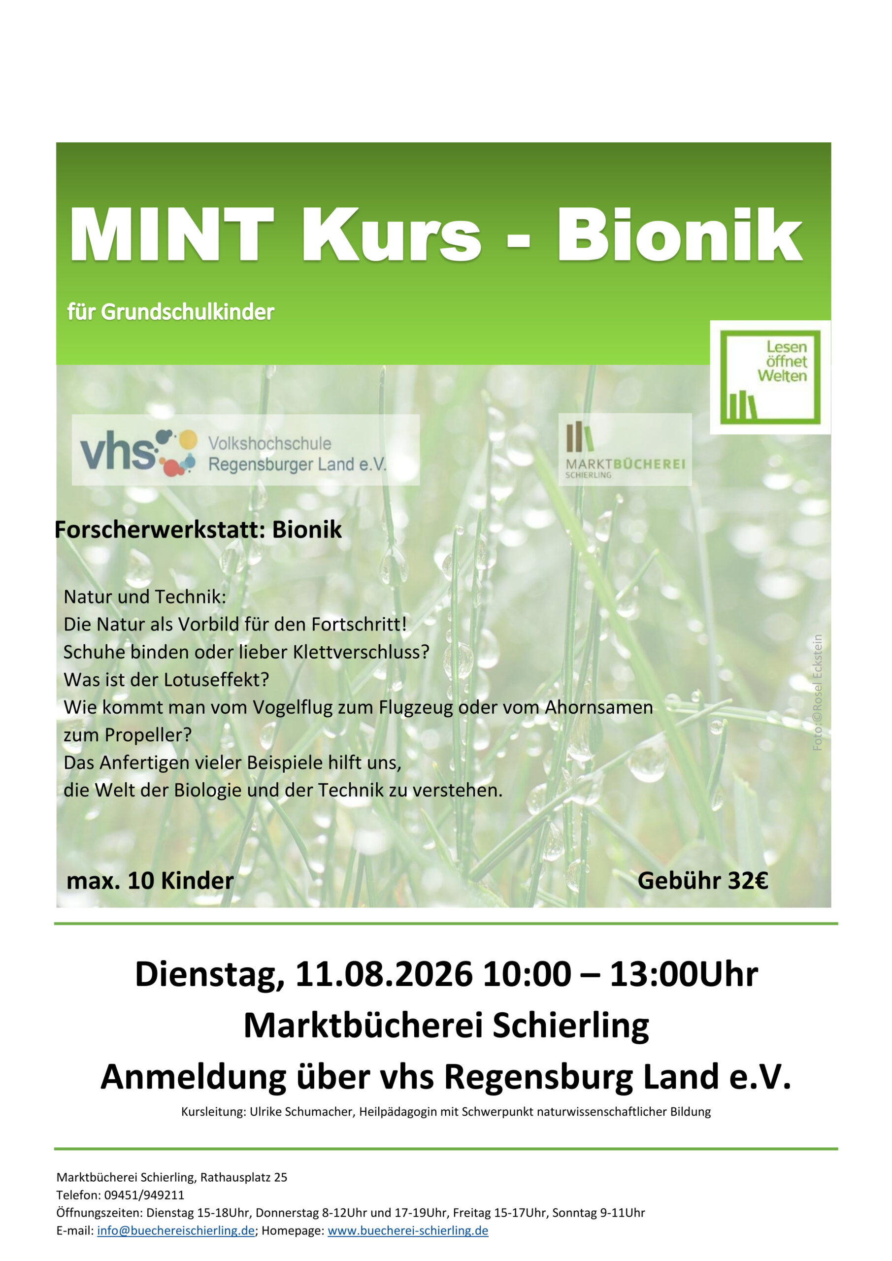2026 08 11 MINT Kurs Bionik mit VHS Grundschule